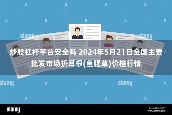 炒股杠杆平台安全吗 2024年5月21日全国主要批发市场折耳根(鱼腥草)价格行情