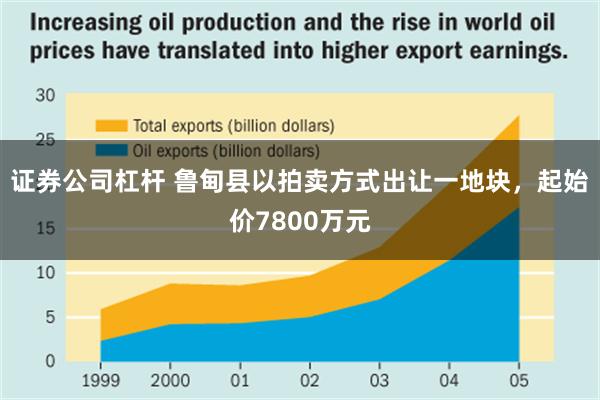 证券公司杠杆 鲁甸县以拍卖方式出让一地块，起始价7800万元