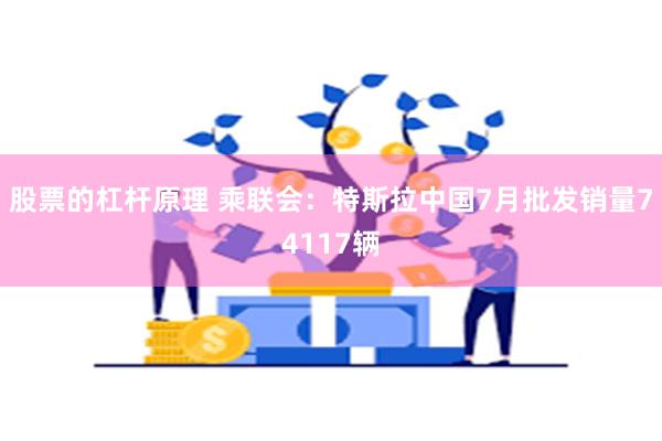 股票的杠杆原理 乘联会：特斯拉中国7月批发销量74117辆