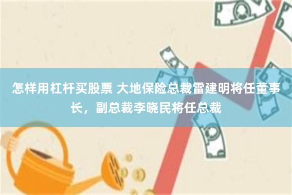 怎样用杠杆买股票 大地保险总裁雷建明将任董事长，副总裁李晓民将任总裁