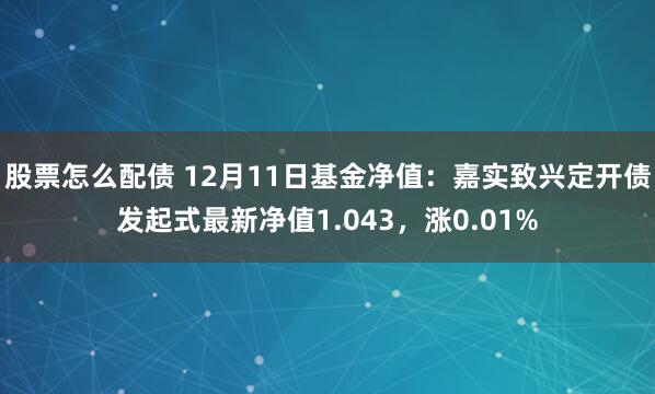 股票怎么配债 12月11日基金净值：嘉实致兴定开债发起式最新净值1.043，涨0.01%