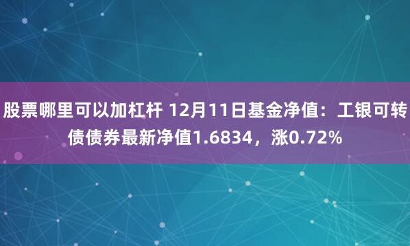 股票哪里可以加杠杆 12月11日基金净值：工银可转债债券最新净值1.6834，涨0.72%