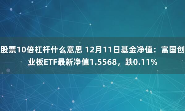 股票10倍杠杆什么意思 12月11日基金净值：富国创业板ETF最新净值1.5568，跌0.11%