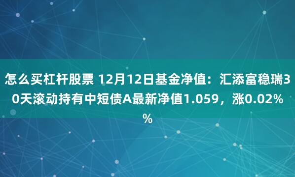 怎么买杠杆股票 12月12日基金净值：汇添富稳瑞30天滚动持有中短债A最新净值1.059，涨0.02%