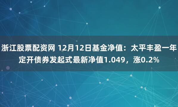 浙江股票配资网 12月12日基金净值：太平丰盈一年定开债券发起式最新净值1.049，涨0.2%