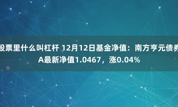 股票里什么叫杠杆 12月12日基金净值：南方亨元债券A最新净值1.0467，涨0.04%