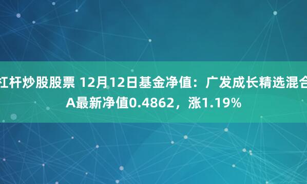 杠杆炒股股票 12月12日基金净值：广发成长精选混合A最新净值0.4862，涨1.19%