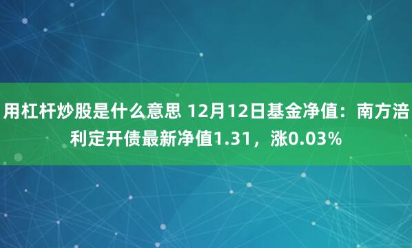 用杠杆炒股是什么意思 12月12日基金净值：南方涪利定开债最新净值1.31，涨0.03%