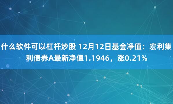 什么软件可以杠杆炒股 12月12日基金净值：宏利集利债券A最新净值1.1946，涨0.21%