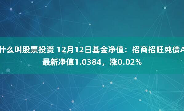 什么叫股票投资 12月12日基金净值：招商招旺纯债A最新净值1.0384，涨0.02%