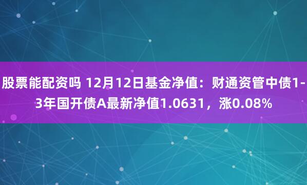 股票能配资吗 12月12日基金净值：财通资管中债1-3年国开债A最新净值1.0631，涨0.08%