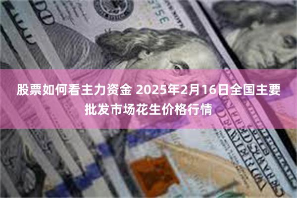 股票如何看主力资金 2025年2月16日全国主要批发市场花生价格行情