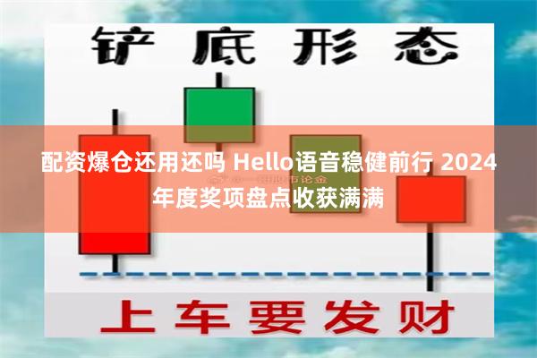 配资爆仓还用还吗 Hello语音稳健前行 2024年度奖项盘点收获满满