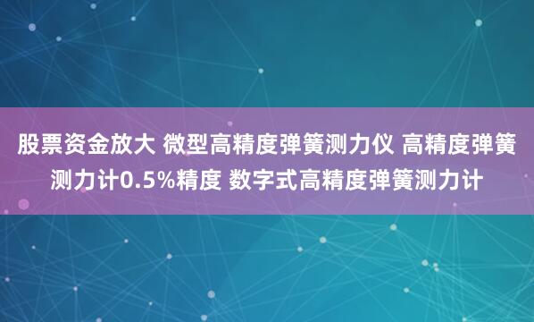 股票资金放大 微型高精度弹簧测力仪 高精度弹簧测力计0.5%精度 数字式高精度弹簧测力计